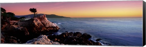 Framed Silhouette of Lone Cypress Tree at a coast, 17-Mile Drive, Carmel, Monterey County, California, USA Print