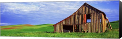 Framed Dilapidated barn in a farm, Palouse, Whitman County, Washington State, USA Print