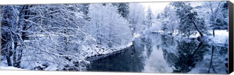 Framed Snow covered trees along a river, Yosemite National Park, California, USA Print