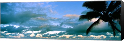 Framed Palm tree on the beach, Hawaii, USA Print