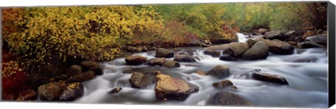 Framed Stream flowing through a forest, Inyo County, California, USA Print