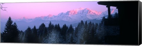 Framed Trees with snow covered mountains at sunset in winter, Combloux, Mont Blanc Massif, Haute-Savoie, Rhone-Alpes, France Print