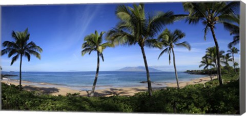 Framed Palm trees on the beach, Maui, Hawaii, USA Print