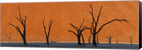 Framed Dead trees by red sand dunes, Dead Vlei, Namib-Naukluft National Park, Namibia Print