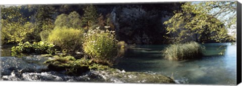 Framed Trees and plants at the lakeside, Plitvice Lake, Plitvice Lakes National Park, Croatia Print