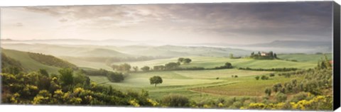 Framed Foggy field, Villa Belvedere, San Quirico d&#39;Orcia, Val d&#39;Orcia, Siena Province, Tuscany, Italy Print