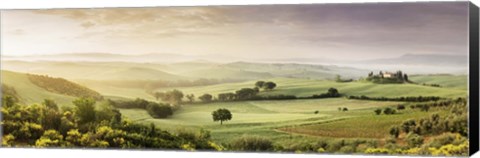 Framed Trees in a field, Villa Belvedere, San Quirico d&#39;Orcia, Val d&#39;Orcia, Siena Province, Tuscany, Italy Print