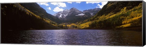 Framed Trees in a forest, Snowmass Wilderness Area, Maroon Bells, Colorado, USA Print