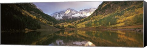 Framed Reflection of trees on water, Aspen, Pitkin County, Colorado, USA Print