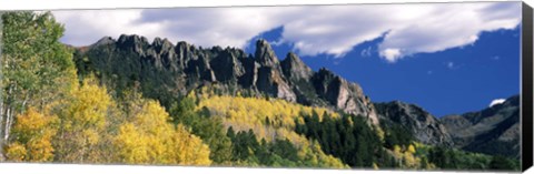 Framed Forest on a mountain, Jackson Guard Station, Ridgway, Colorado, USA Print