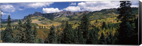 Framed Trees on mountains, Ridgway, Colorado, USA Print