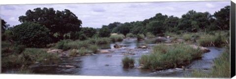 Framed Sabie River, Kruger National Park, South Africa Print