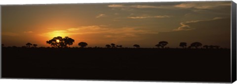 Framed Sunset over the savannah plains, Kruger National Park, South Africa Print
