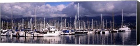 Framed Boats at a harbor, Santa Barbara Harbor, Santa Barbara, California, USA Print