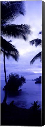 Framed Palm trees on the coast, Colombia (purple and blue) Print