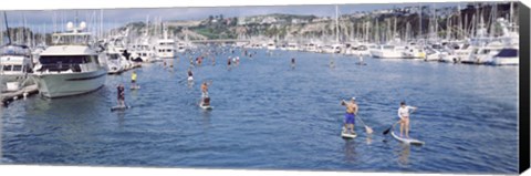 Framed Paddleboarders and yachts, Dana Point, California Print