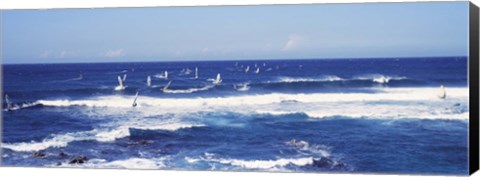 Framed Tourists windsurfing, Hookipa Beach Park, Maui, Hawaii Print