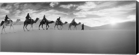 Framed Tourists riding camels through the Sahara Desert landscape led by a Berber man, Morocco (black and white) Print