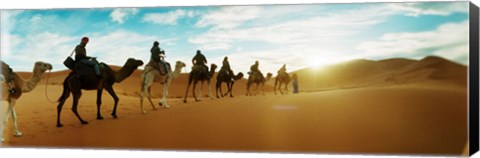 Framed Tourists riding camels through the Sahara Desert landscape led by a Berber man, Morocco Print
