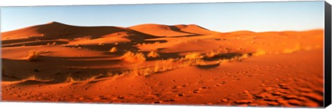 Framed Desert at sunrise, Sahara Desert, Morocco Print