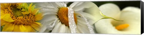 Framed Yellow and white flowers Print