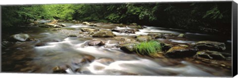 Framed River flowing through a forest, Little Pigeon River, Great Smoky Mountains National Park, Tennessee, USA Print
