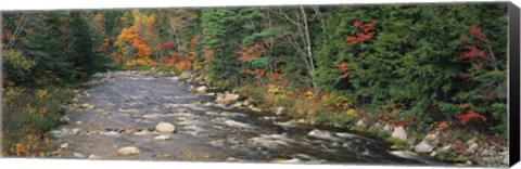 Framed River flowing through a forest, Ellis River, White Mountains, New Hampshire, USA Print
