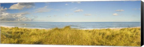 Framed Grass on the beach, Horsey Beach, Norfolk, England Print