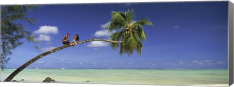 Framed Couple on trunk of a palm tree on the beach, Aitutaki, Cook Islands Print