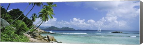 Framed Palm trees on the beach, Anse Severe, La Digue Island, Praslin Island, Seychelles Print