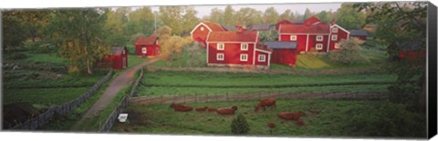 Framed Traditional red farm houses and barns at village, Stensjoby, Smaland, Sweden Print