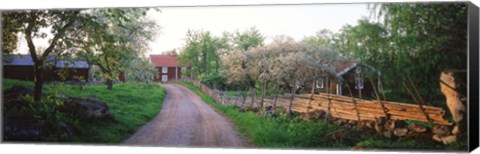 Framed Dirt road leading to farmhouses, Stensjoby, Smaland, Sweden Print