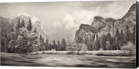 Framed River flowing through a forest, Merced River, Yosemite Valley, Yosemite National Park, California, USA Print