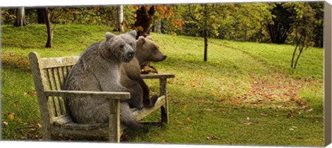 Framed Bears sitting on a bench Print