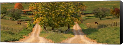 Framed Two dirt roads passing through farms in autumn Print