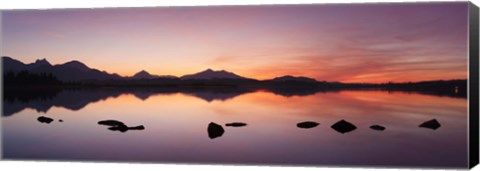 Framed Lake Hopfensee at sunset, Ostallgau, Bavaria, Germany Print