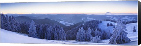 Framed Snow covered trees on a hill, Feldberg Mountain, Black Forest, Baden-Wurttemberg, Germany Print