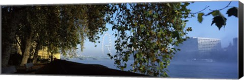 Framed Ferris wheel looking viewed through trees, Millennium Wheel, Thames River, South Bank, London, England Print