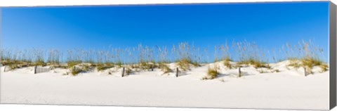 Framed Sand dunes on Gulf Of Mexico, Orange Beach, Baldwin County, Alabama, USA Print