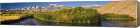 Framed Owens River flowing in front of mountains, Californian Sierra Nevada, Bishop, California, USA Print