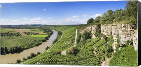 Framed High angle view of vineyards, Neckar River, Hessigheim, Baden-Wurttemberg, Germany Print