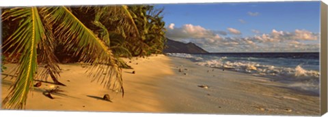 Framed Palm trees on the edge of a small beach, Seychelles Print