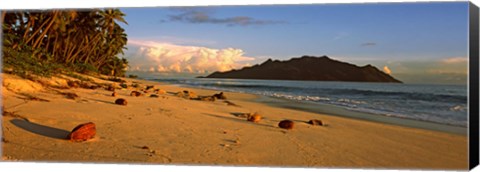 Framed Coconuts on a palm lined beach on North Island with Silhouette Island in the background, Seychelles Print