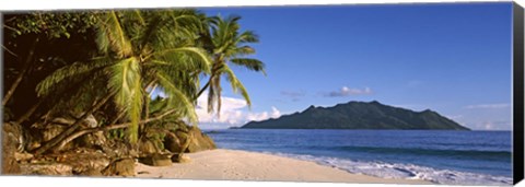 Framed Palm trees grow out over a small beach with Silhouette Island in the background, Seychelles Print