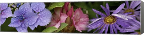 Framed Close-up of flowers Print