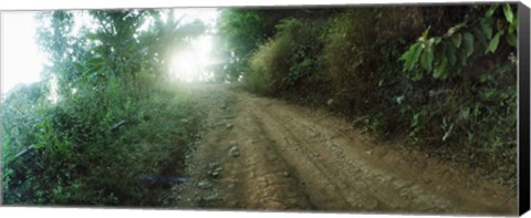 Framed Dirt road through a forest, Chiang Mai Province, Thailand Print