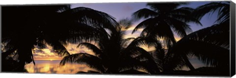 Framed Silhouette of palm trees at sunset, Aitutaki, Cook Islands Print