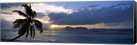 Framed Silhouette of coconut palm tree at sunset, from Anse Severe Beach, La Digue Island, Seychelles Print