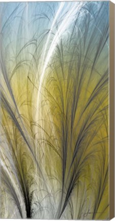 Framed Fountain Grass III Print