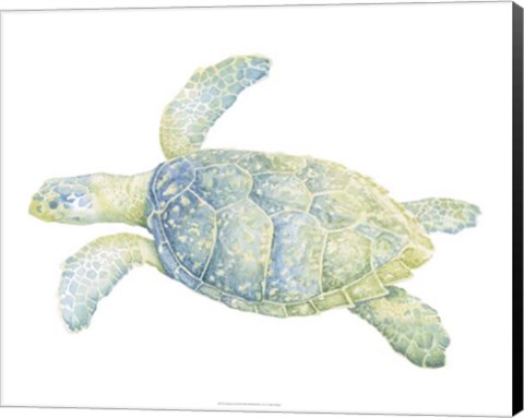 Framed Tranquil Sea Turtle II Print